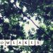 LOWLAKES – Lowlakes EP