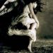 PRAYER – Danger In The Dark
