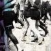 DARK DARK HORSE – Centuries