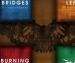 BRIDGES LEFT BURNING – Disappointment, Disapproval, Disbelief EP